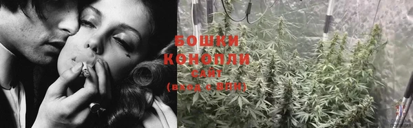 индика Арсеньев